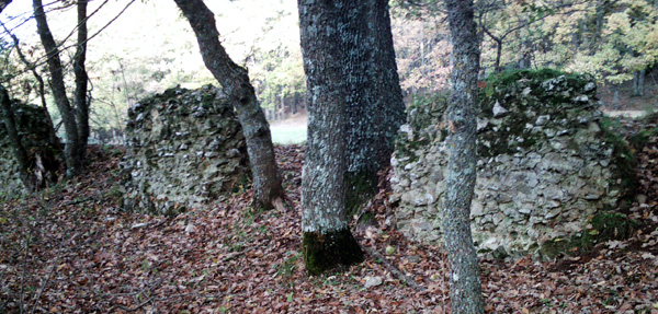 Locality Spineta: remains of the aqueduct arches